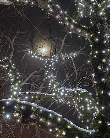 Haus Ida アパート