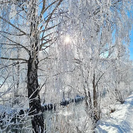 アパート Haus Ida エールヴァルト