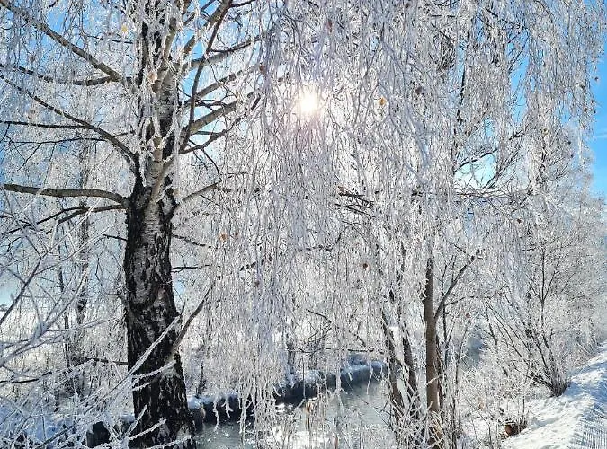 Apartment Haus Ida Ehrwald